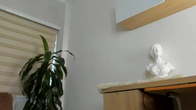 Erick_Thompsonx webcam