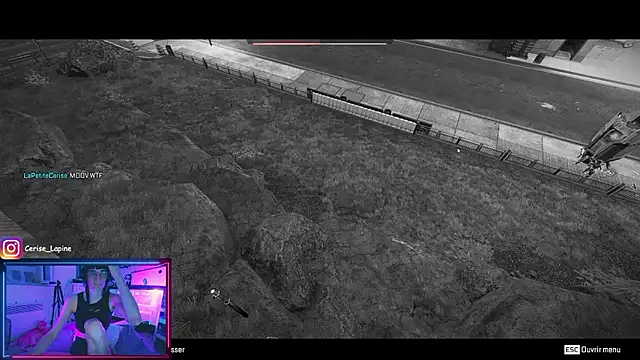 CeriseLapine webcam