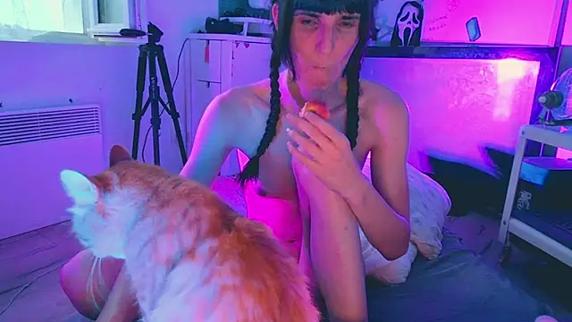 CeriseLapine webcam