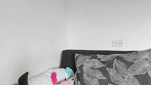 Eirlysx webcam