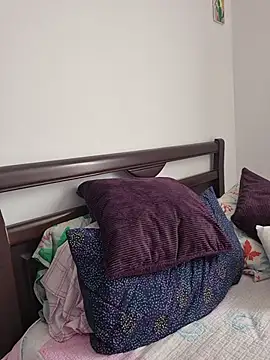 IrisBound webcam