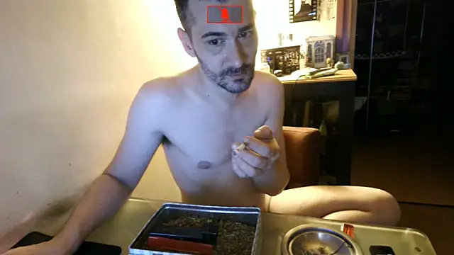 Hgay6935 webcam