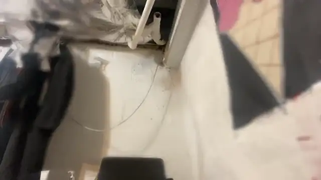 cum4calvin webcam
