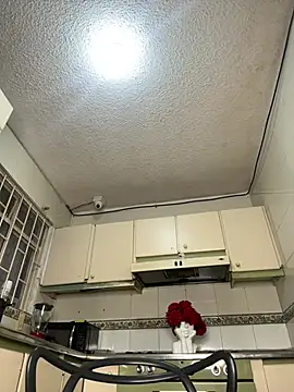 Samir_bear webcam