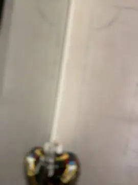 Abby-LS webcam