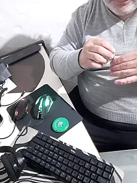 12Paradarte webcam