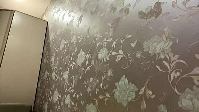 SmileEveryDays webcam