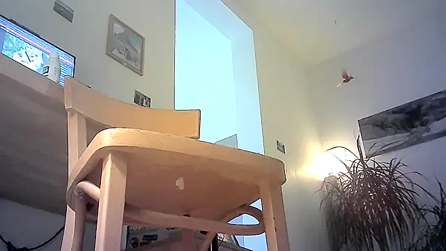 Slavelovesanal webcam