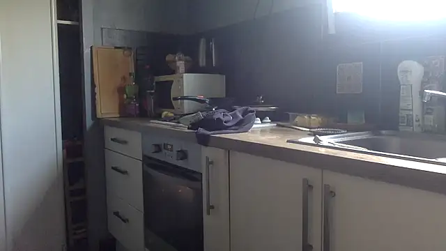 molozeb webcam