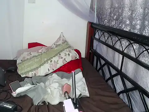 Whimsicalwillow webcam