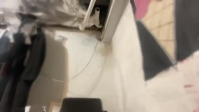 cum4calvin webcam