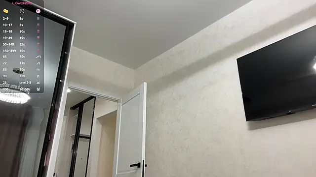 tinykisa webcam