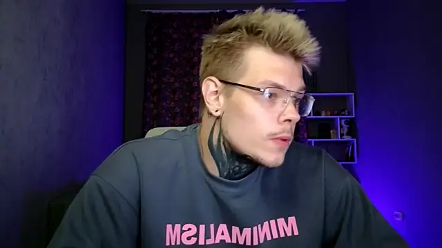 DENIS_HERE webcam