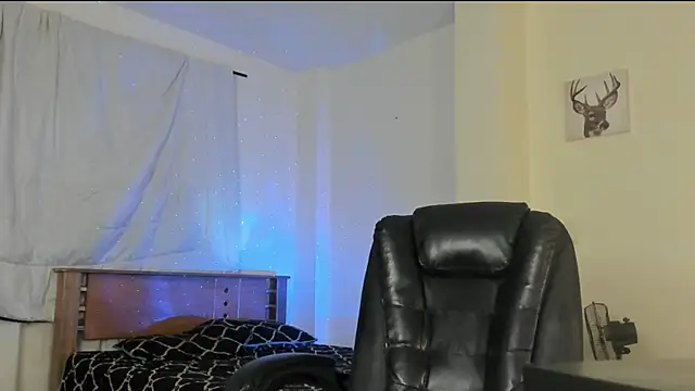 Franco_banderas