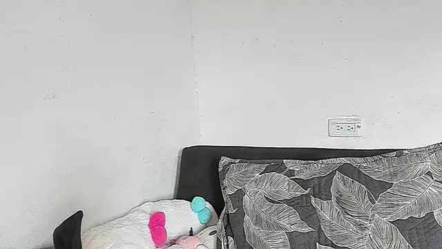 Eirlysx webcam
