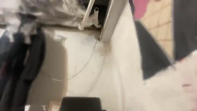 cum4calvin webcam
