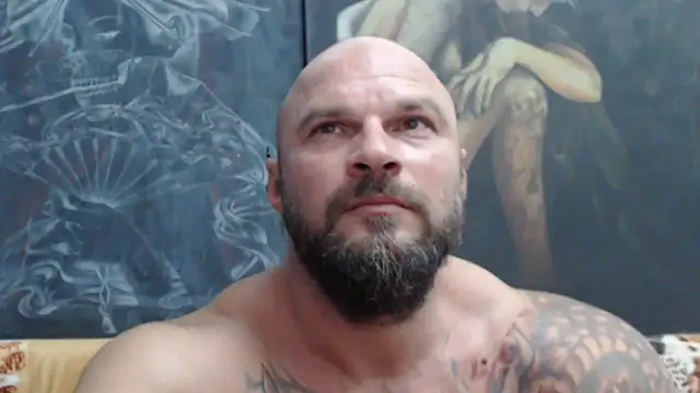 viking_30 webcam