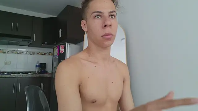 grey___27 webcam