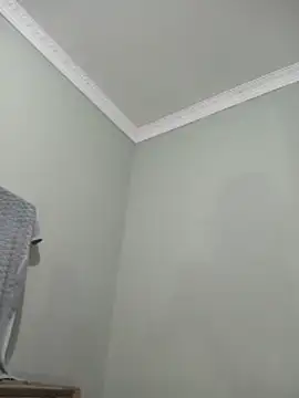 wahh45 webcam