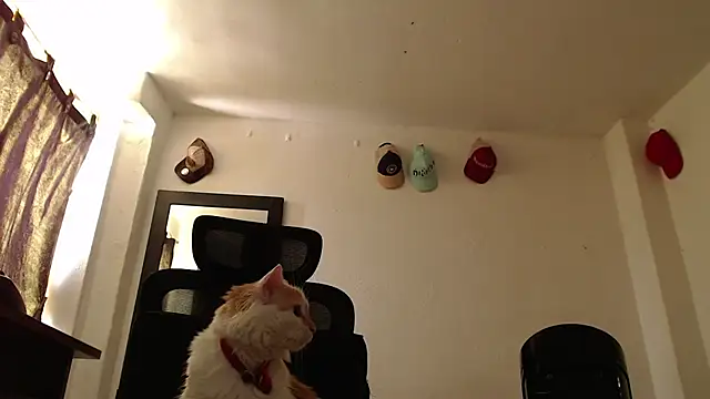 cloudsxxx webcam