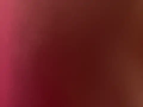 mesetti webcam