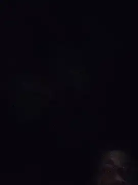 lermaalburu webcam