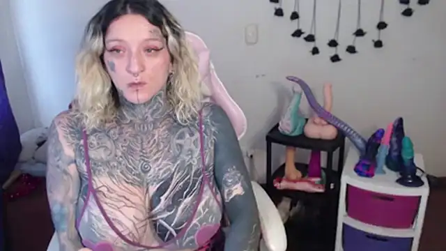 SLOPPYTITSS webcam