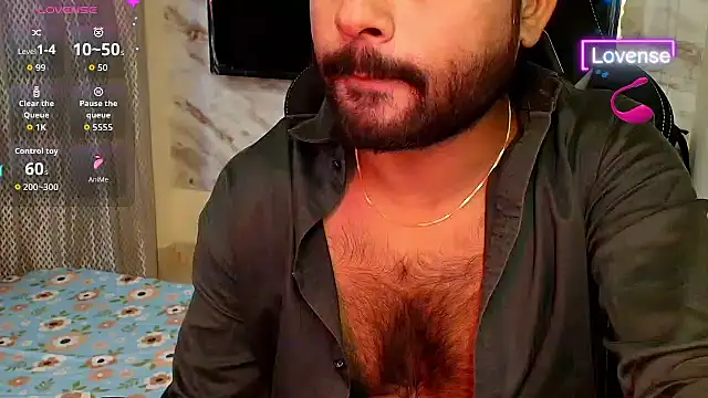 SilverShade3 webcam