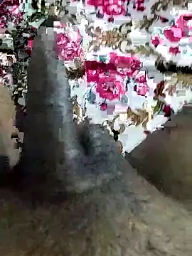 desi_pb02 webcam