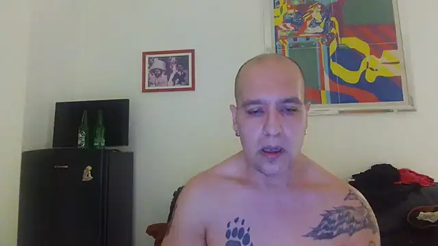 AMIRDIB2025 webcam