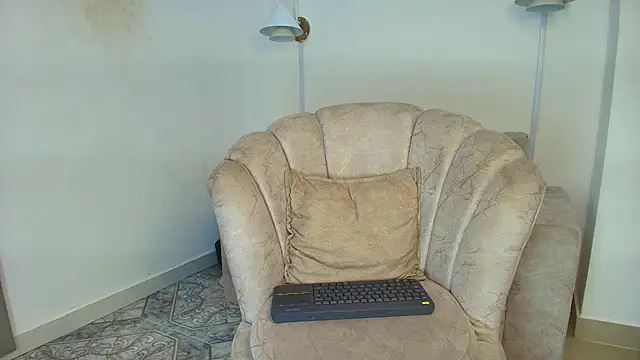 An_fox23 webcam