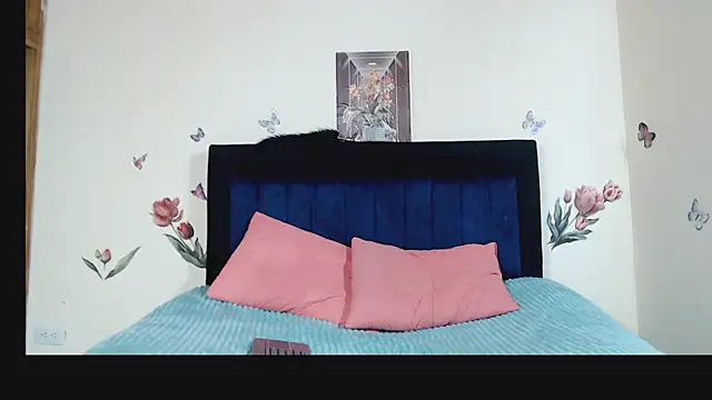 ANDRYXS100 webcam