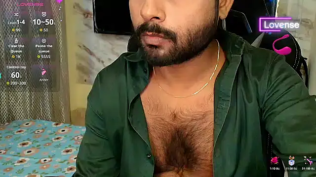 SilverShade3 webcam