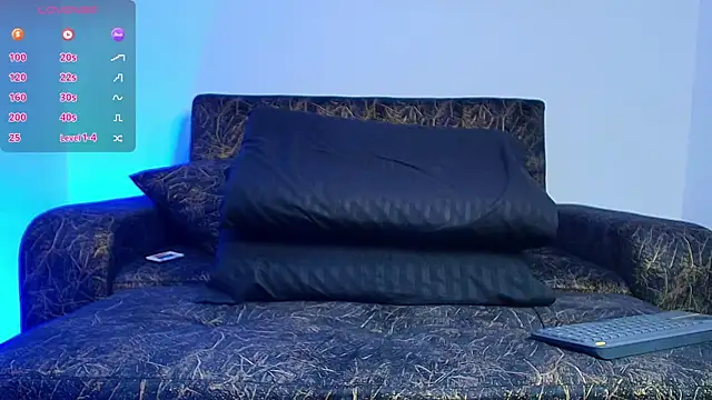 BrayaanFit webcam