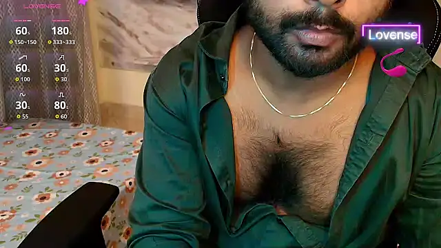 SilverShade3 webcam