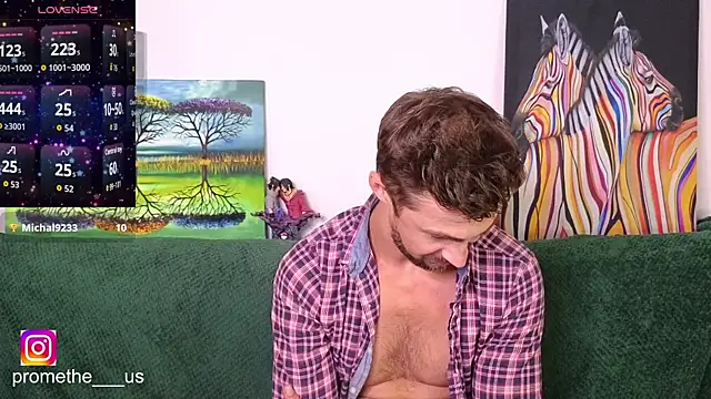 Promethe_us webcam