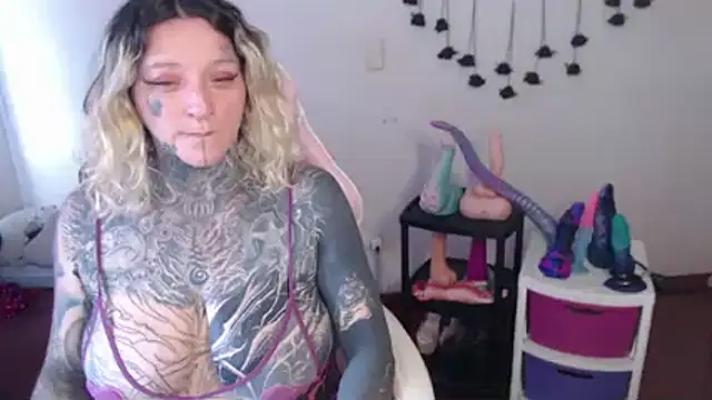 SLOPPYTITSS webcam