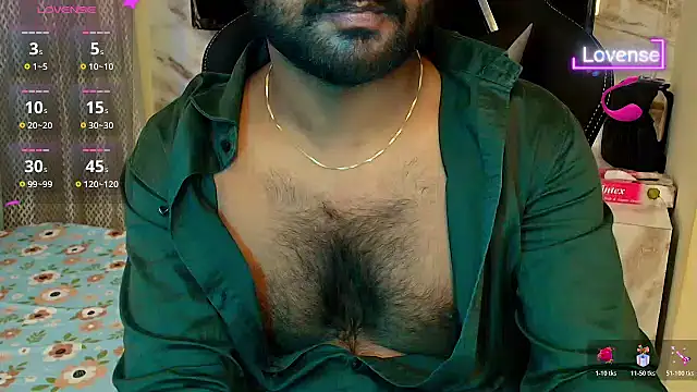 SilverShade3 webcam