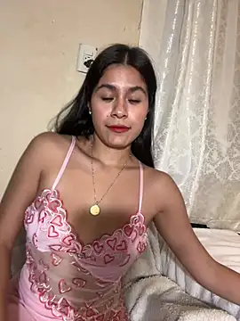 Linaroby webcam