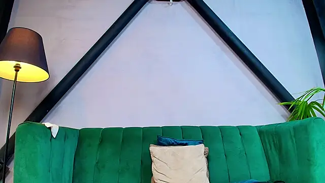 Vans_Ross webcam