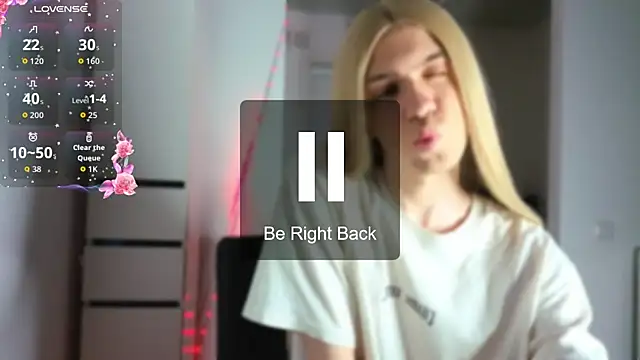 skibatryanka webcam