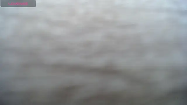 DAPHNE_doll webcam