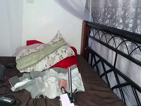 Whimsicalwillow webcam