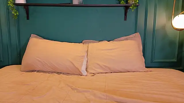 ale_cam webcam