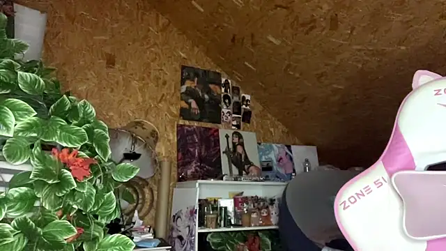 HeidiTian webcam