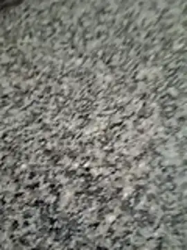 UruUru12 webcam