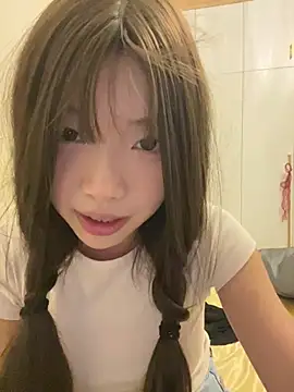 YY-1-1-1 webcam