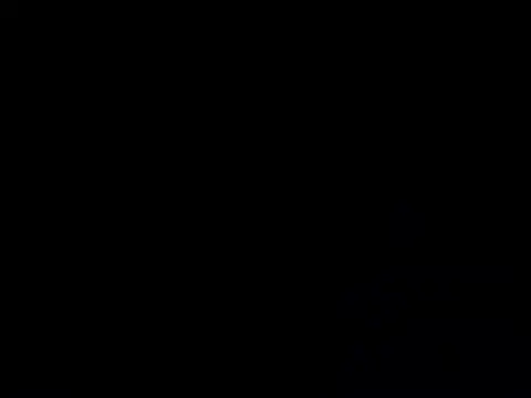 Bold-Maya webcam
