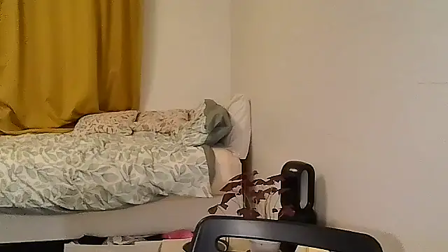 belgianshantie webcam