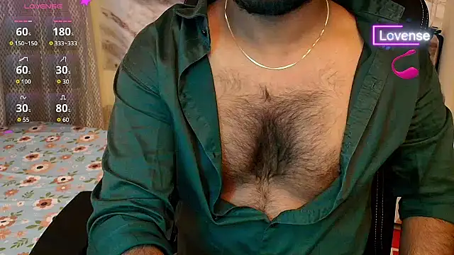 SilverShade3 webcam
